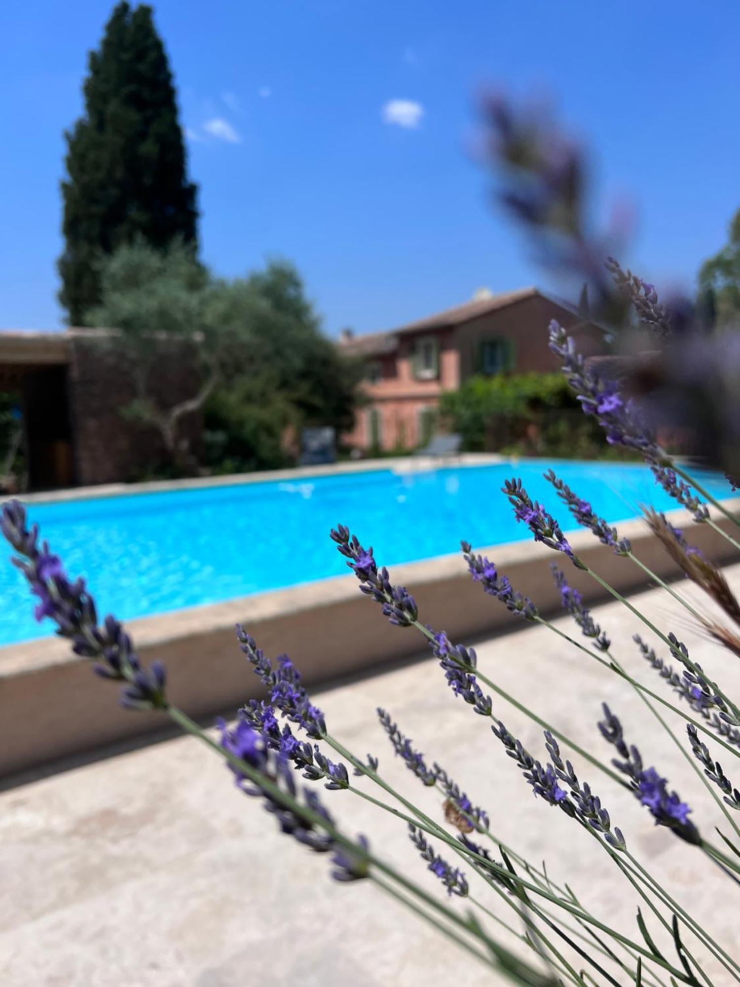 Les Hauts De Diane, Cuers Var Exterior foto